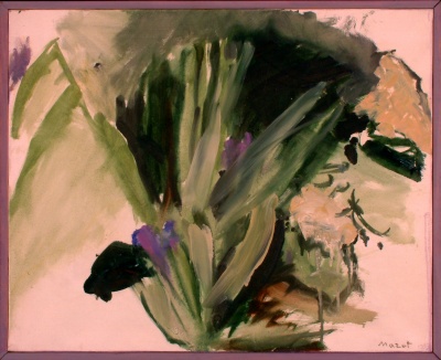 giardino con iris<br>Olio su Tela<br>40x50   04-06-1993<br>
				(105)