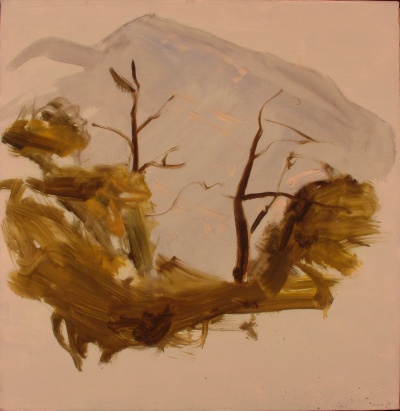 Montagna con alberi<br>olio su tela<br>80x80   27-08-1992<br>
				(520)<br>Collezione Privata