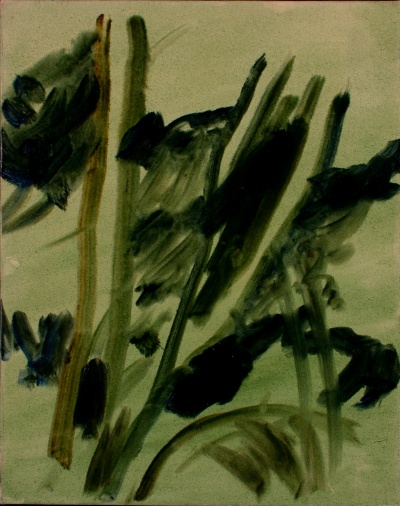 Giardino<br>olio su tela<br>30x40   22-05-1993<br>
				(93)
